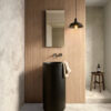 ragno modus 001